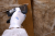 a273ebba11ec4632753cc85a2291fbf7.png