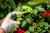 d751309d265a326f0ff422a86e24529a.png