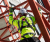 14d876456e8ad515c2d8406607913d1a.png