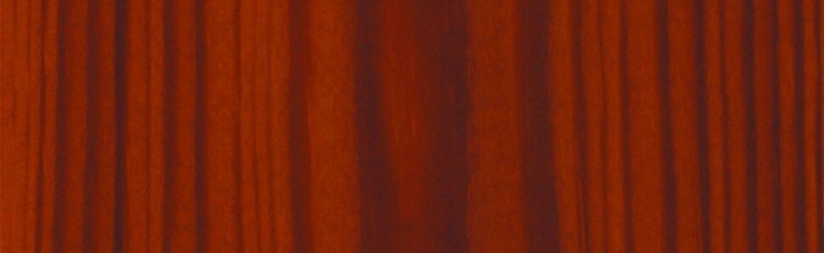e8c9a923d1ad45c1a5f86ace8b5e2ecb.jpg