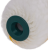 1a74e0bf5afb0dfcdffd82ff03f91503.png